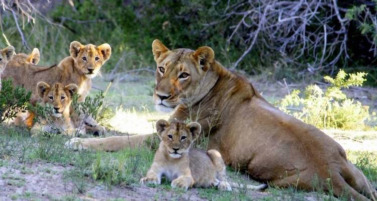 Tanzania - Safari & Beach - Paradise Reise Service 10