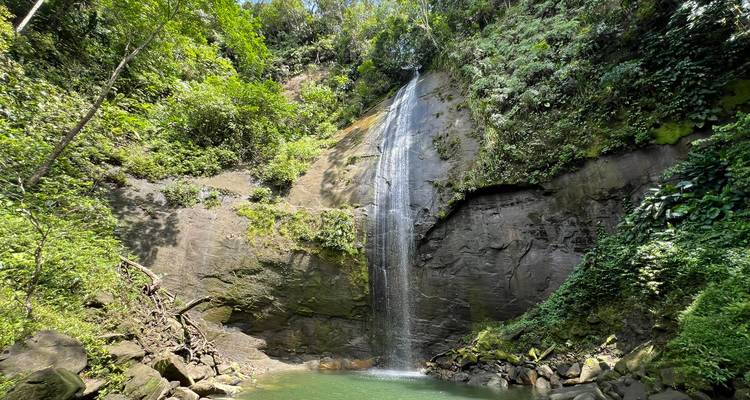Tall jungle waterfall cascading into a turquoise plunge pool surrounded by lush green vegetation.