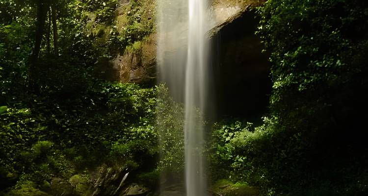 Silky long-exposure shot of a narrow waterfall tumbling into a mossy gorge.