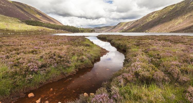 Ruta del Whisky de Escocia (Hotel) - 3 días - On The Go Tours 2