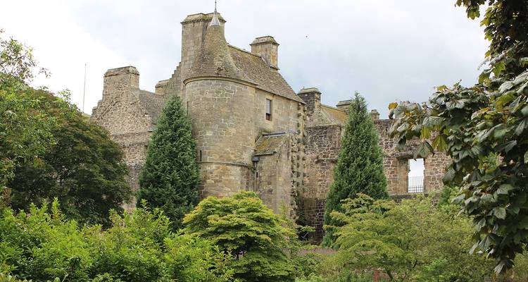 Ruines de château de pierre médiéval partiellement cachées par une végétation luxuriante composée d'arbres et d'arbustes