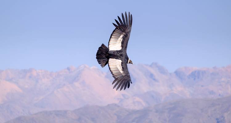 10 Days Treasures of Southern Peru - Responsible Travel South America 2