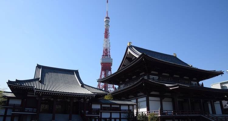 Lo más destacado de Japón con Hiroshima 2025 - 2026 - Tomato Travel 1