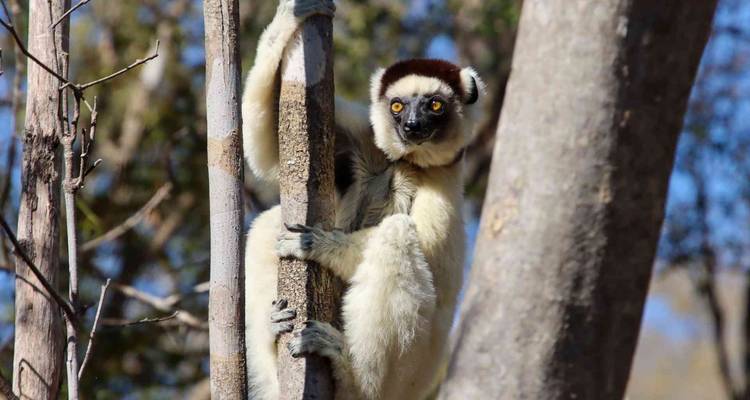 Discover Madagascar - Bunnik Tours 10