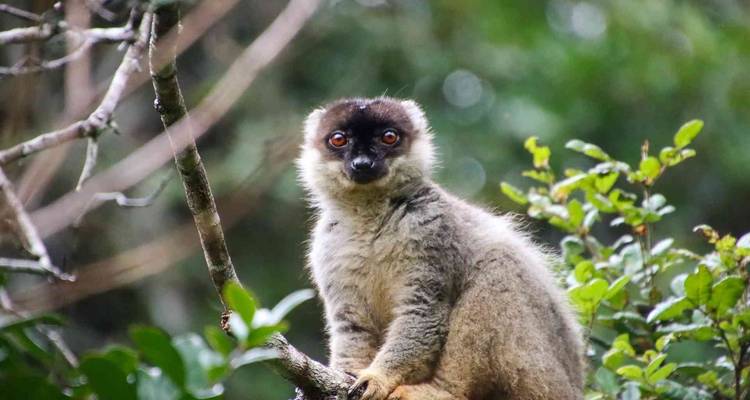 Discover Madagascar - Bunnik Tours 3