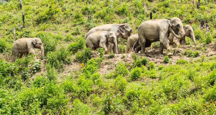 Voyages classiques enThaïlande et au Cambodge - 12 jours - Circuit privé - Tour East Thailand 10