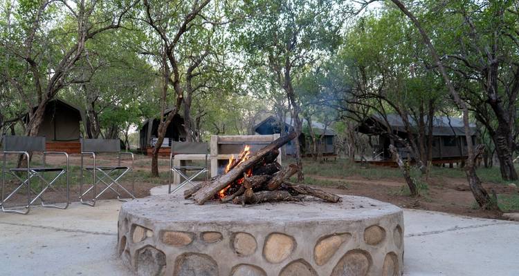 Safari de 3 jours dans le parc national Kruger (Glamping de Big 5) - The Mzansi Experience 7