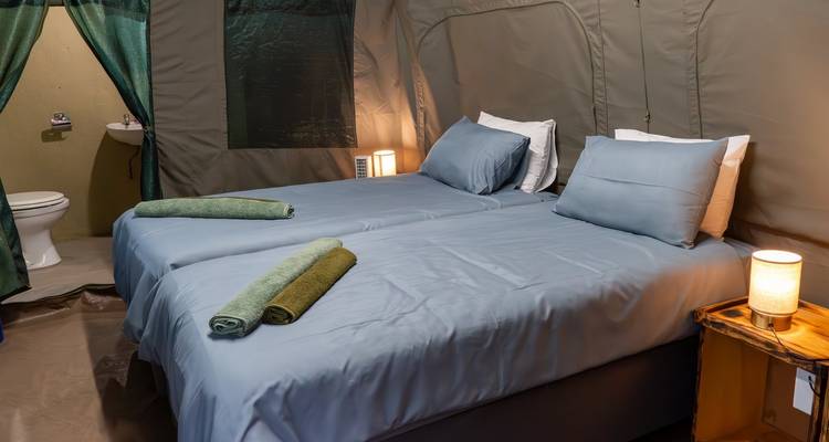 Safari de 3 jours dans le parc national Kruger (Glamping de Big 5) - The Mzansi Experience 8