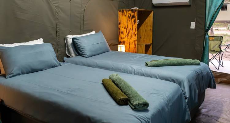 Safari de 3 jours dans le parc national Kruger (Glamping de Big 5) - The Mzansi Experience 1