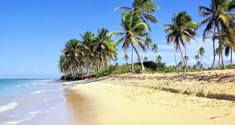 Les hauts lieux de la République dominicaine avec l'effet de serre - Oasis Travel 6