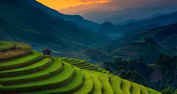 Imagen vibrante de campos de arroz en terrazas bajo un cielo vespertino colorido.