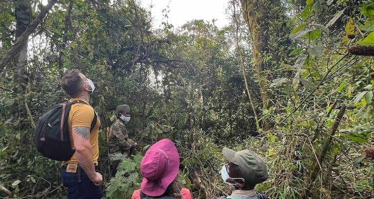 Randonnée au Rwanda et en Ouganda pour observer les gorilles, visite du village des cochons et d'une communauté ou d'une école - Indy Escapes 7