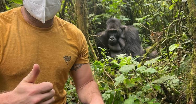 Randonnée au Rwanda et en Ouganda pour observer les gorilles, visite du village des cochons et d'une communauté ou d'une école - Indy Escapes 4
