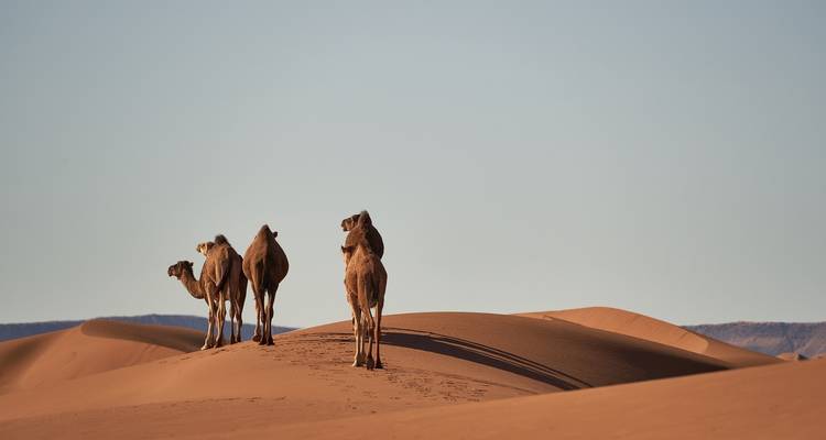16 Días Roma, Ouarzazate, Erfoud y más - Remaz Tours GmbH 6
