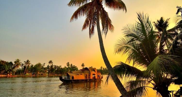 Houseboat in the backwaters surrounded by palm trees during sunset.