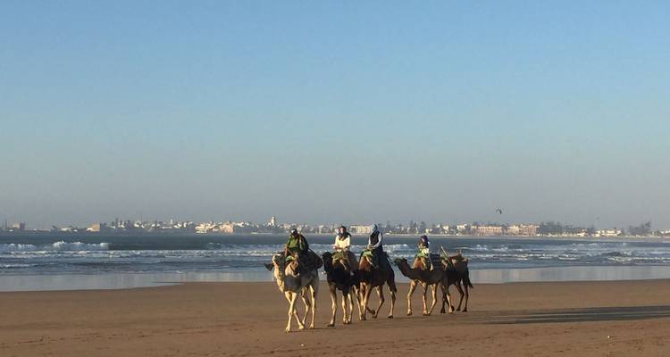 Morocco Imperial city and Sahara desert tour - Under Moroccan Sun LLC 9