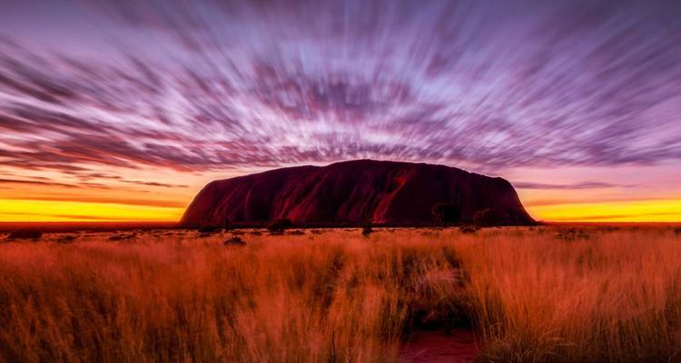 Dramatic sunrise sky streaking over Uluru surrounded by golden desert grasses.