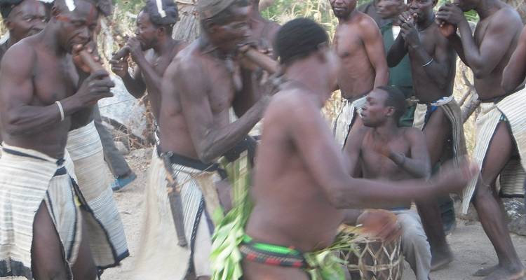 Safari de vacances au Cameroun - Its Your Trip 1