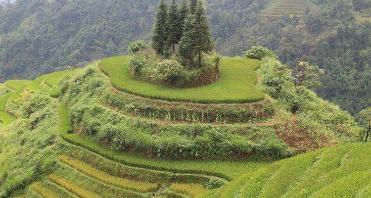 Mercado de Bac Ha y Excursión a Hoang Su Phi - Custom Vietnam Travel 1