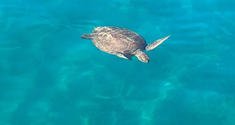 De Marmaris a Fethiye en 4 días - Go Sail Turkey 3