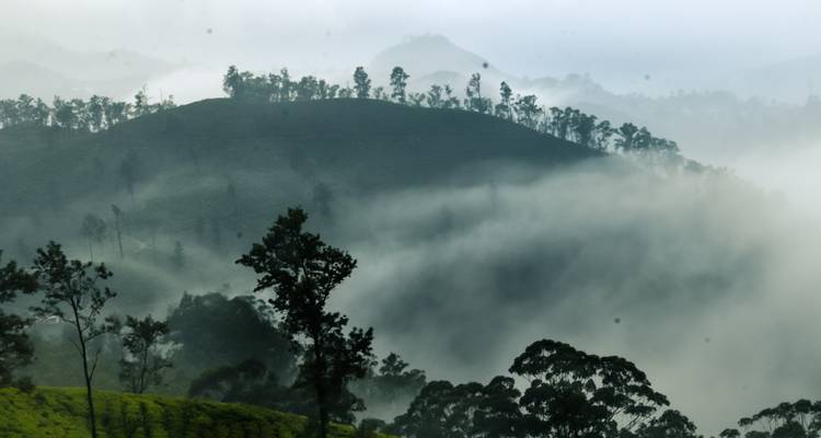 Fantastic Sri Lanka - Look Lanka Tours 2