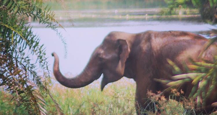 Fantastic Sri Lanka - Look Lanka Tours 4