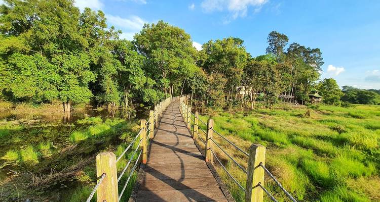 2 Days/1 Night in Nam Cat Tien - Ecological Trails – Night Safari – Crocodile Lake - Ideal Travel Asia 3