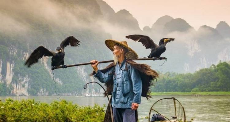 15 Days Golden Ring of China with Hong Kong (private guide & driver）Family Tour Customizable - UME Travel Co. Ltd 6