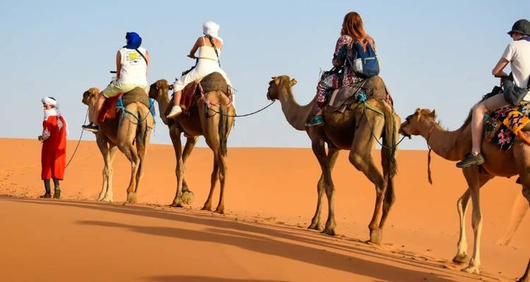 Gruppe von Menschen, die auf Sanddünen Kamele reiten.