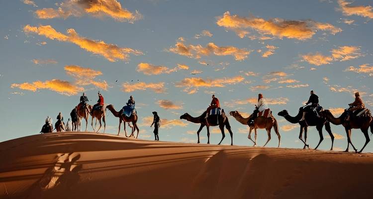 Silhouettes de chameaux contre un coucher de soleil sur les dunes de sable.