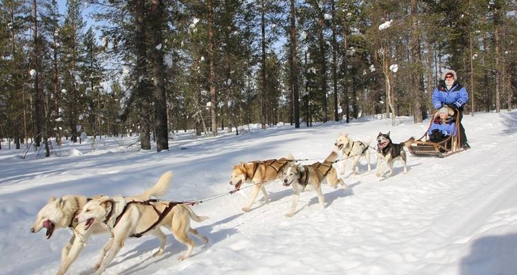 Les aurores boréales de Finlande (2025) - Collette 4