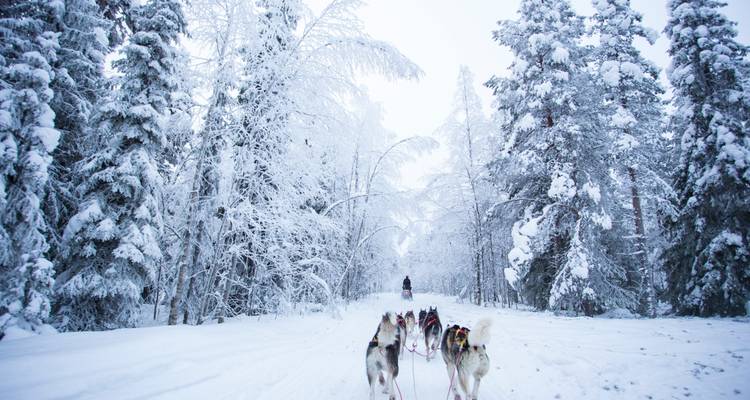 Les aurores boréales de Finlande (2025) - Collette 6