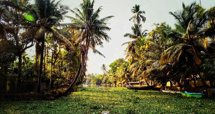 Excursión por los remansos de Alleppey con las cascadas de Athirapally - Alkof Holidays 3