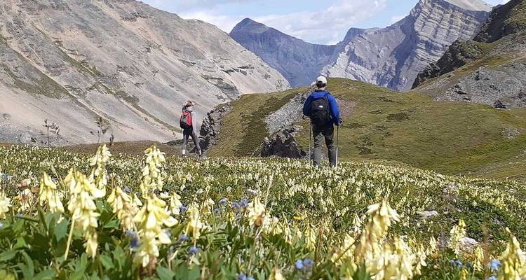 Ultimate Banff and Jasper Hiking Tour with Hotel Stays - Fresh Adventures 8