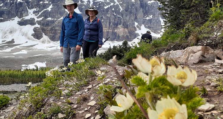 Los excursionistas atraviesan un sendero alpino bordeado de flores con acantilados nevados que se alzan detrás en las Montañas Rocosas Canadienses.