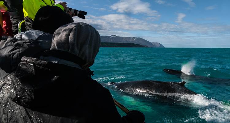 Eclipse solaire totale en Islande (2026) - 6 jours - Tout compris - Let's Book Travel 8
