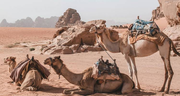 Circuit de 14 jours en Égypte et en Jordanie - Global Conquest 6
