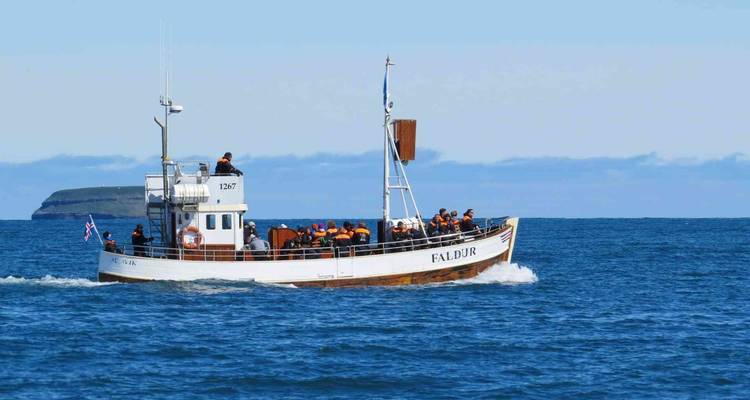 Découvrir l'Islande - Bunnik Tours 9