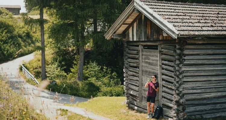 Senderismo en la excursión a los refugios de Gschnitztal - World of Mountains GmbH 8
