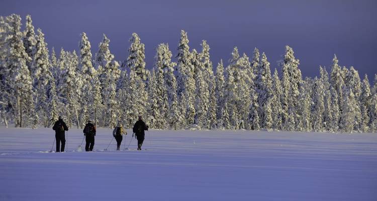 Polar Adventures in Lapland's winter wonderland - DIAMIR Erlebnisreisen 7