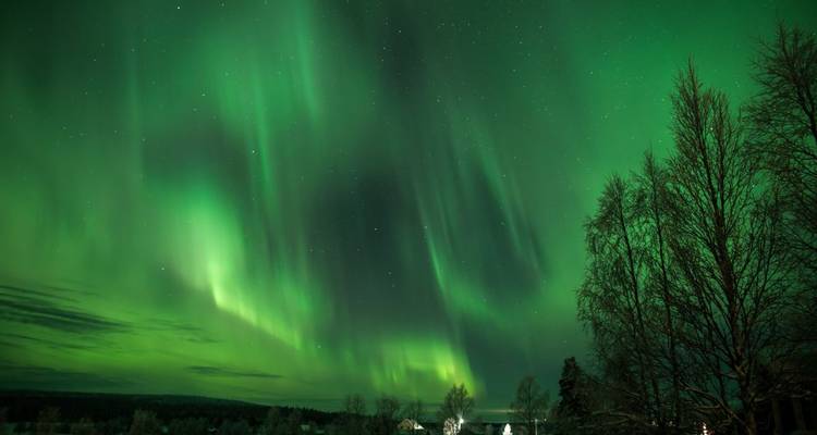 Polar Adventures in Lapland's winter wonderland - DIAMIR Erlebnisreisen 6