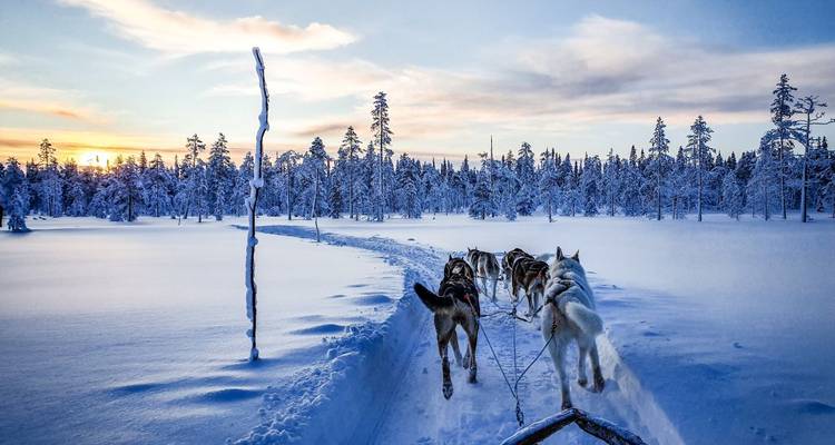 Polar Adventures in Lapland's winter wonderland - DIAMIR Erlebnisreisen 4