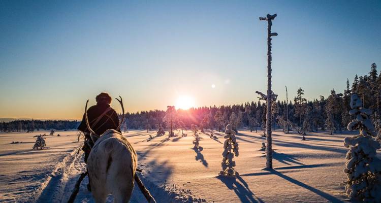 Polar Adventures in Lapland's winter wonderland - DIAMIR Erlebnisreisen 3