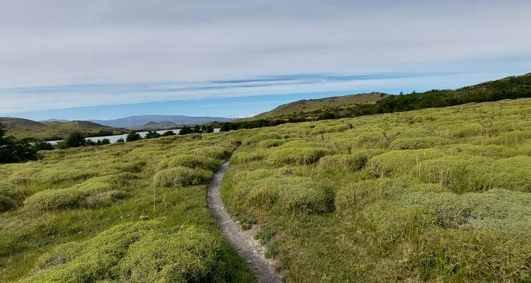 Hiking the W trek in Torres del Paine, Hut to Hut (5 Days / 4 Nights) - Dittmar Adventures  3