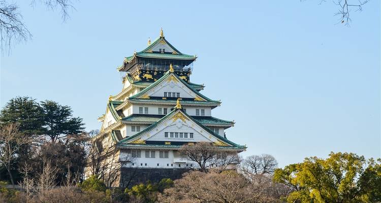 Souvenirs magiques avec les enfants au japon - 10 jours (guide et chauffeur privés) - UME Travel Co. Ltd 8