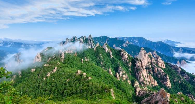 Imagine Endless Discoveries in Japan and South Korea  - 15 Days - Tomato Travel 2