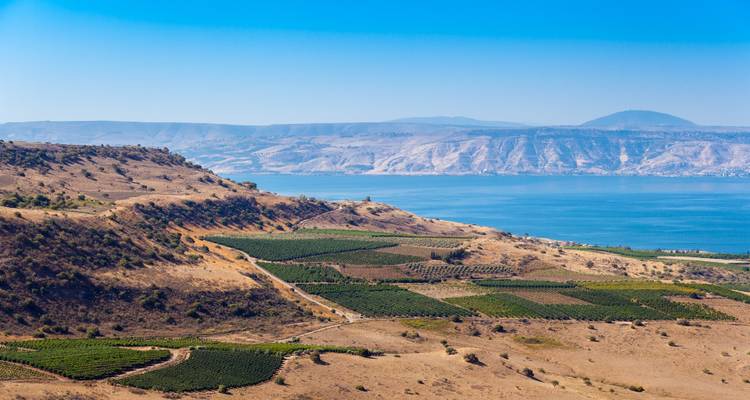 Israël en profondeur - Crooked Compass 4