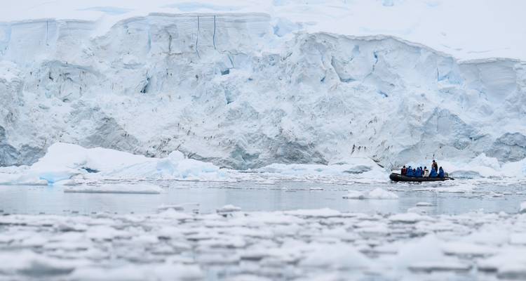 Îles Falkland, Géorgie du Sud et Antarctique : un périple épique - Albatros Expeditions 1
