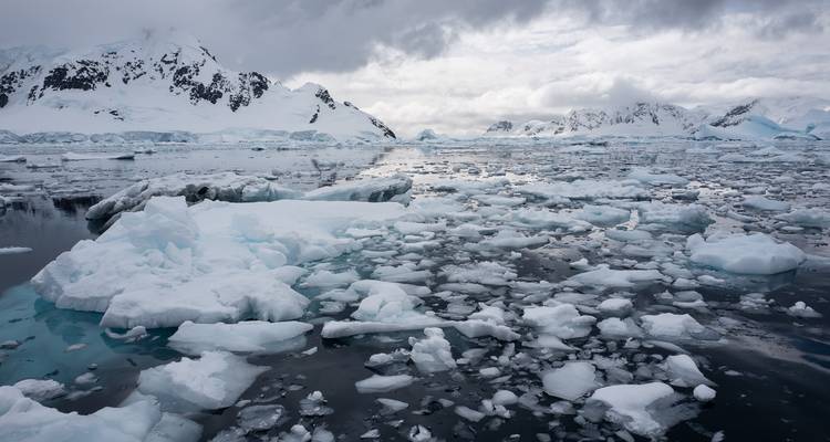 Îles Falkland, Géorgie du Sud et Antarctique : un périple épique - Albatros Expeditions 3