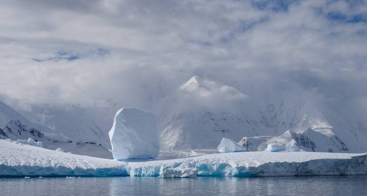 Les îles sauvages de l'Atlantique Sud - Albatros Expeditions 4